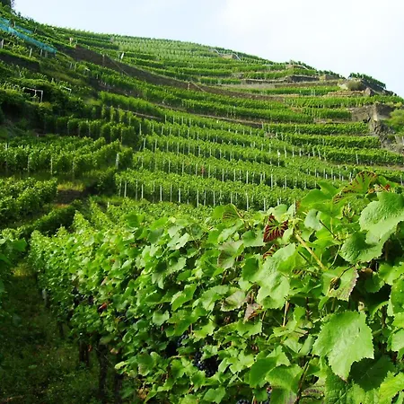 Aufenthalt In Morscheid-riedenburg * 모르바흐