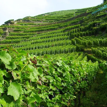 Aufenthalt In Morscheid-riedenburg Apartment Morbach