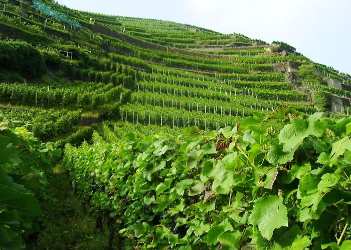 Aufenthalt In Morscheid-riedenburg * Morbach