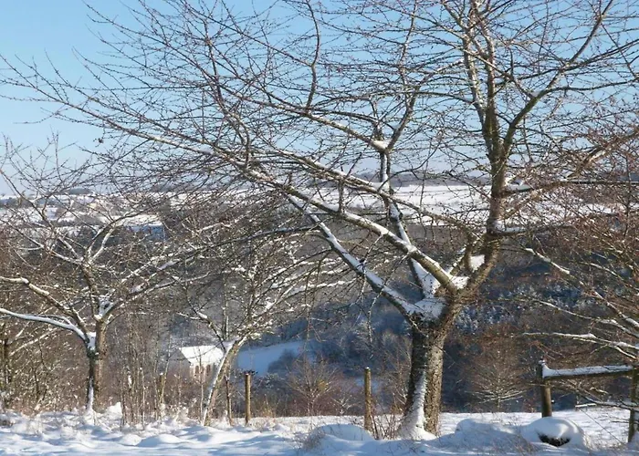 Charmante Ferienwohnung Katja In Morbach-Hoxel *